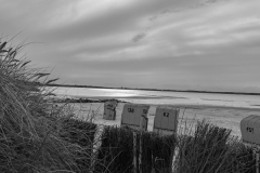 IMG_9881