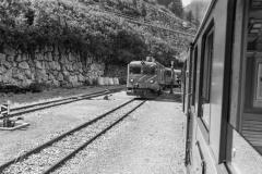 RMA06549
