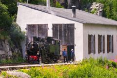RMA06572
