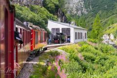 RMA06582