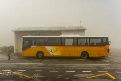 RMA06703