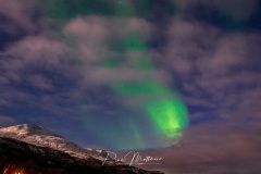 20231026-RMA09775