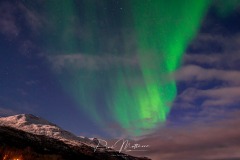 20231026-RMA09928
