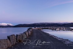 RMA08189-Pano