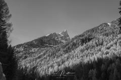 20231118-RMA00819