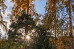 20231118-RMA00827