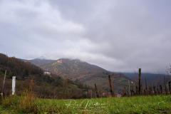20231209-RMA00942