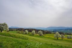 20240407-RMA00182