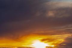 20240426-RMA00344