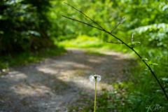 20240502-RMA00433