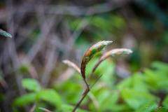 20240502-RMA00436