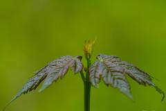 20240502-RMA00460