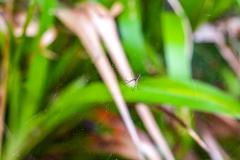 20240502-RMA00497