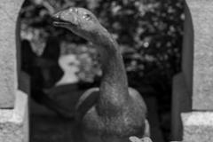 20240519-RMA01018