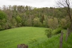 20240503-RMA00544