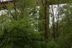 20240503-RMA00558